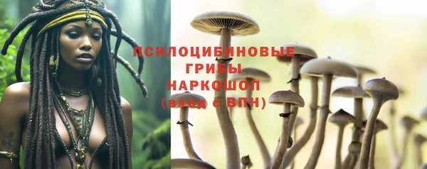 мдпв Верея