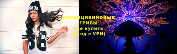 мдпв Верея