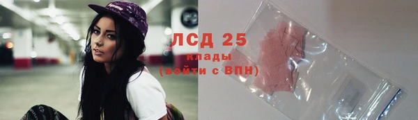 мдпв Верея