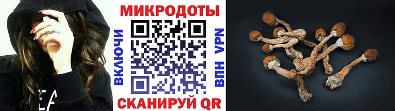 Псилоцибиновые грибы мицелий  где купить наркоту  kraken рабочий сайт  Нерюнгри 