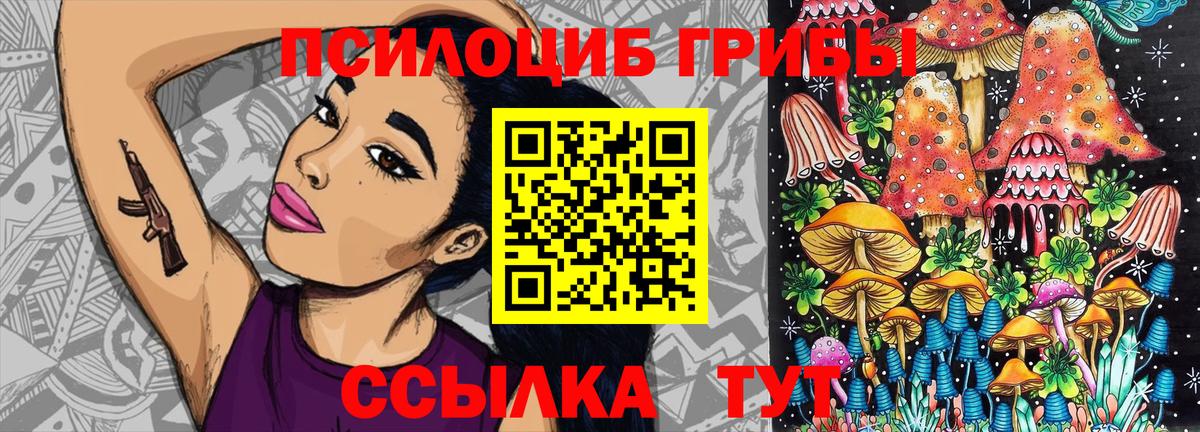 Псилоцибиновые грибы Cubensis Нерюнгри